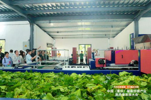 科技創(chuàng)新賦能，推動(dòng)成渝地區(qū)蠶桑絲綢產(chǎn)業(yè)一體化發(fā)展