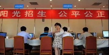高招錄取正式啟動(dòng) 石家莊市咨詢(xún)服務(wù)站電話(huà)公布，助力考生獲取關(guān)鍵信息